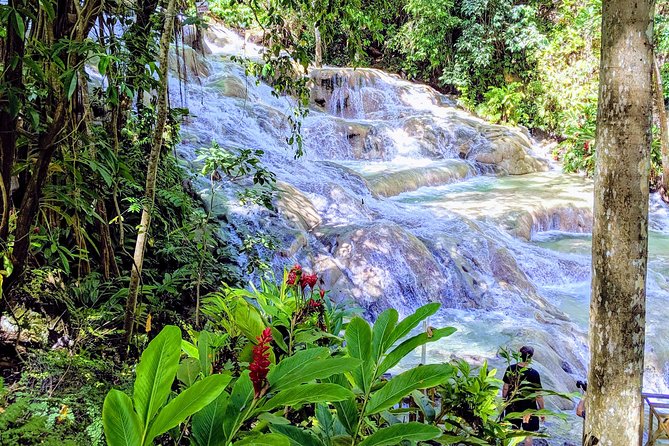 Private Ocho Rios highlight tour - A smart 4-hour combo for Ocho Rios: Falls first, then rainforest