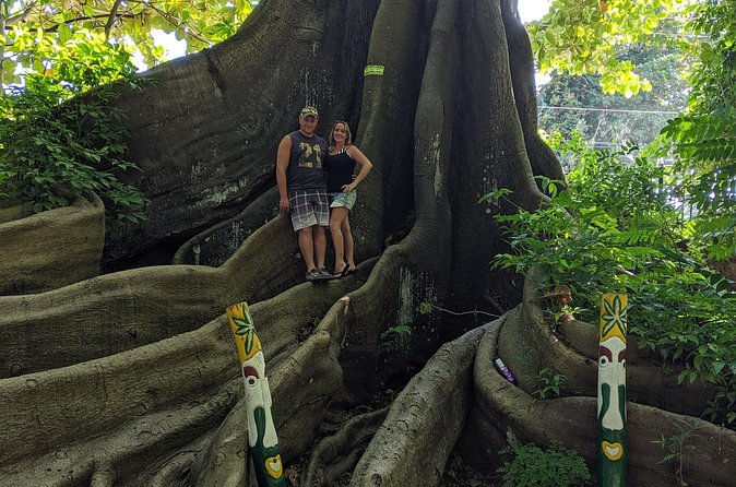 Private Ocho Rios highlight tour - Your guide role: introductions that help you enjoy more