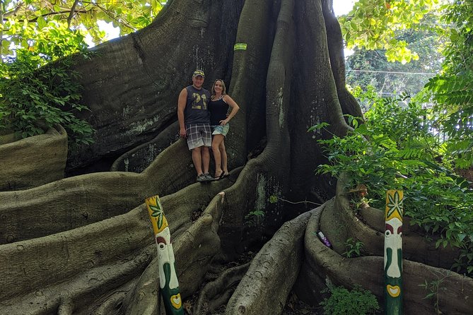 Private Ocho Rios highlight tour - Should you book this private Ocho Rios highlights tour?