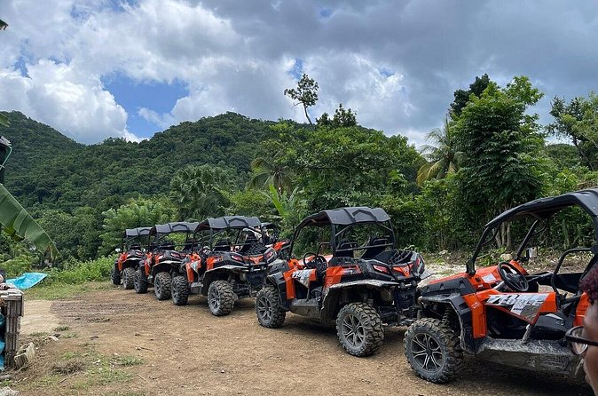 Private Rasta Safari Cultural UTV Village Experience - Should You Book This Private RastaSafari UTV Experience?