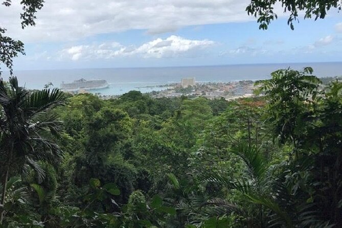 Private Sightseeing Tour in & Around Ocho Rios - Private Ocho Rios Orientation: More Than Just Driving Around