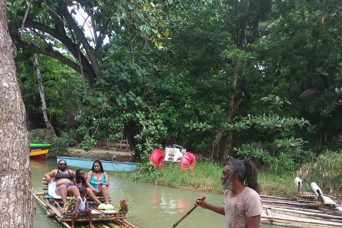 Private Sightseeing Tour in & Around Ocho Rios - Botanical Gardens Vicinity: Medicinal Plants, Spices, and A Peek at a Celebrity Home