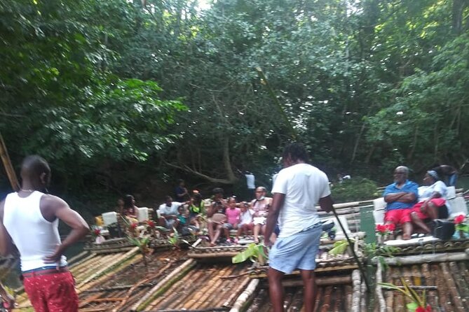 Private Sightseeing Tour in & Around Ocho Rios - Fern Gully: The Scenic Road Stop That Makes Photos Easier
