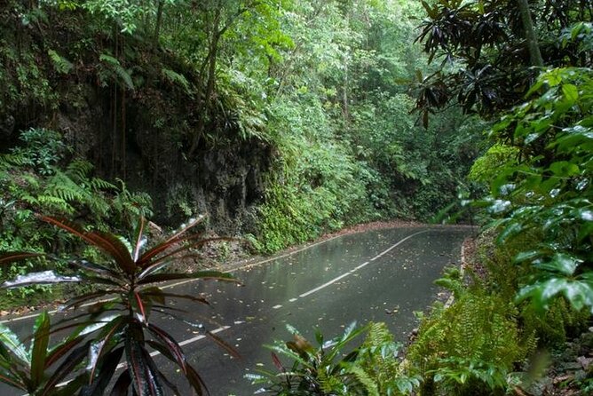 Private Sightseeing Tour in & Around Ocho Rios - Guides and Customization: How Winston, Henry, and Leroy Affect the Day