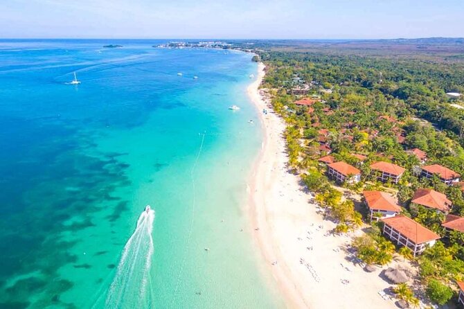 Private Tour From Ocho Rios or Runaway Bay To Negril 7 Miles Beach & Ricks Cafe - Price and value: what $100 per person gets you