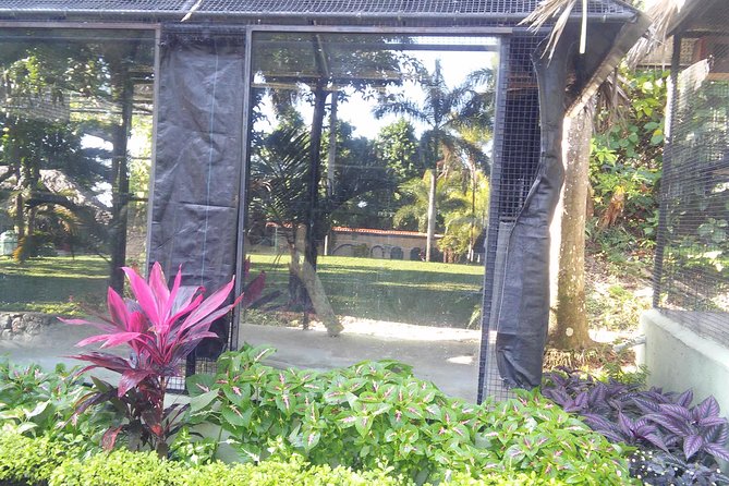 Private Tour From Ocho Rios To Konoko Falls And Garden and Shopping - Price and Value: What You Pay for at $80 Per Person