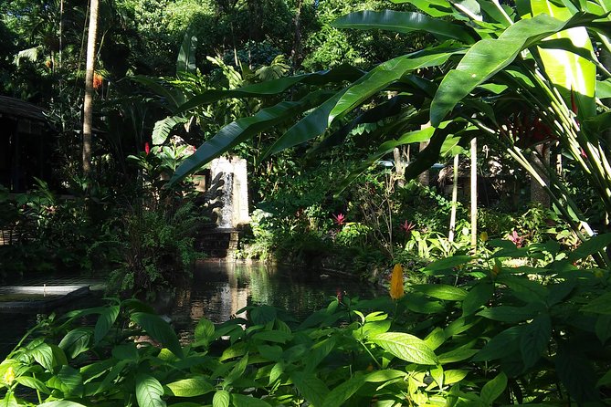 Private Tour From Ocho Rios To Konoko Falls And Garden and Shopping - Timing That Works: 9:00 am for a Short and Sweet Day