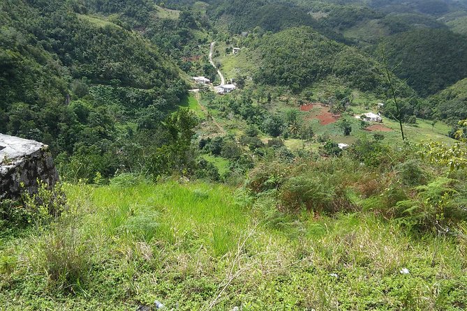 Private Tour Ocho Rios or Runaway Bay To 9 Mile Bob Marley Birth & Resting Place - What the Rastafarian Guide Adds (And Why You’ll Feel It in the Right Places)