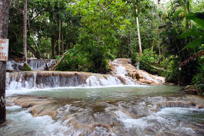 Private Tour to Dunn's River Falls From Ocho Rios - Key Highlights to Know Before You Go