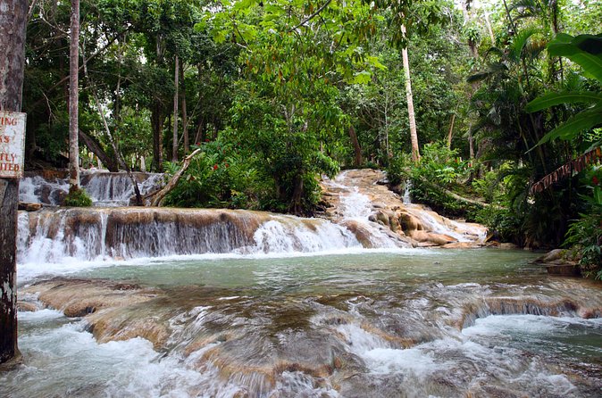Private Tour to Dunn's River Falls From Ocho Rios - Price and What You Actually Get for $60 Per Person