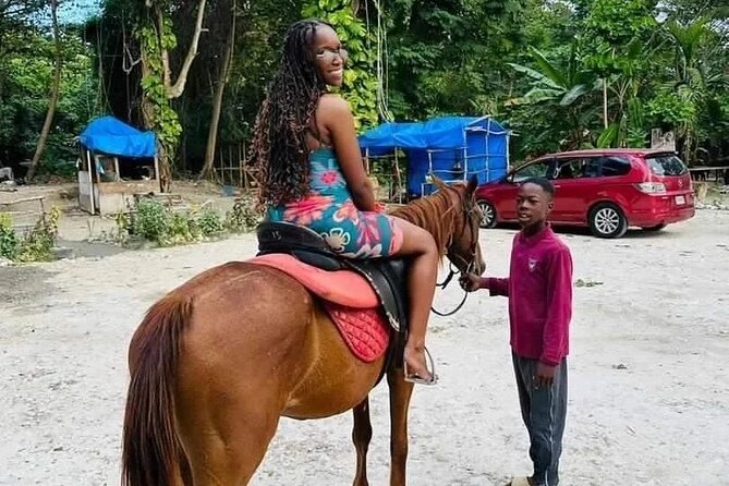 Private Transfer from Montego Bay to Dunns River Falls - Value for $125 Per Person: What You’re Getting Back