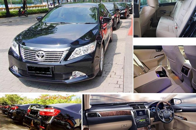 Private Transfer Montego Bay to Ocho Rios - Reliability Reality: What to Watch For Before You Leave the Airport