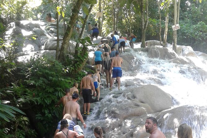 Private Transfer to Dunns River Blue Hole Tubing from Montego Bay - Private transfer setup: how the meet point keeps things simple