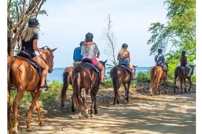 Private Transport and Airport Transfer in Montego Bay - The short private ride, plus optional photo and souvenir stops