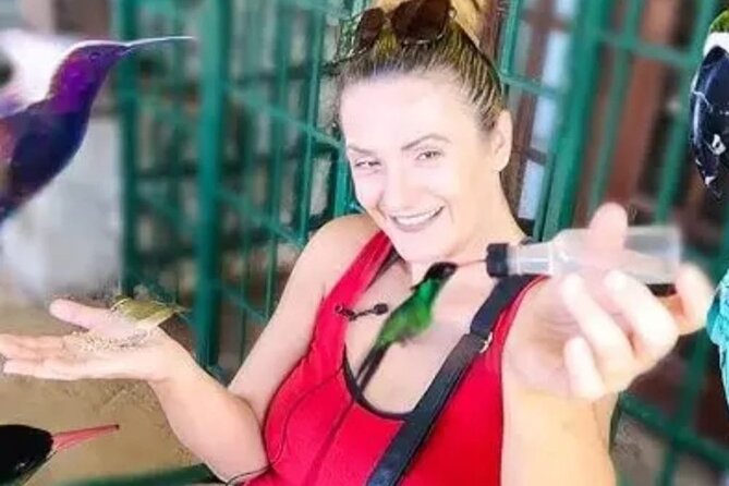 Private Transport and Airport Transfer in Montego Bay - Price and value: is $40 per person actually fair for this transfer?