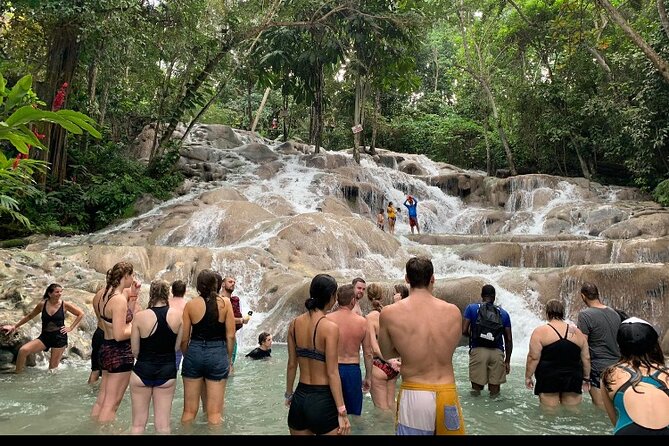 Private Transportation from Montego Bay to Mystic Mountain and Dunn's River Fall - Key points before you go