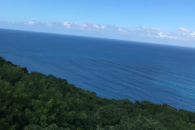 Private Transportation from Montego Bay to Mystic Mountain and Dunn's River Fall - What the private transportation actually does for you