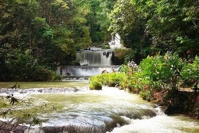 [PRIVATE] YS Falls, Black River, Pelican Bar - Entrance & Lunch - YS Falls: Waterfalls, Jitney Rides, and a Real Swim Break