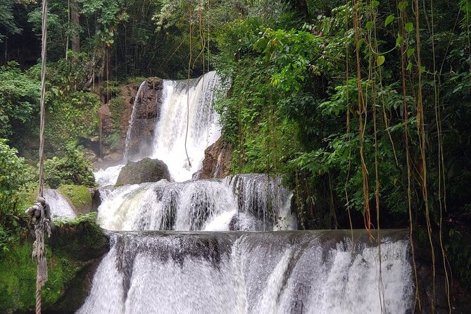 [PRIVATE] YS Falls, Black River, Pelican Bar - Entrance & Lunch - Floyd’s Pelican Bar: Driftwood, Sandbar Views, and Boat-Only Access