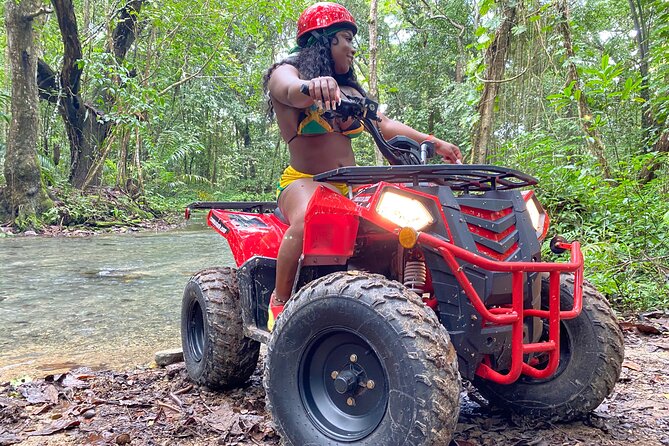 Rad Venture ATV, Transportation & Lunch - The Included Jamaican Lunch: Meat and Vegan-Friendly Choices
