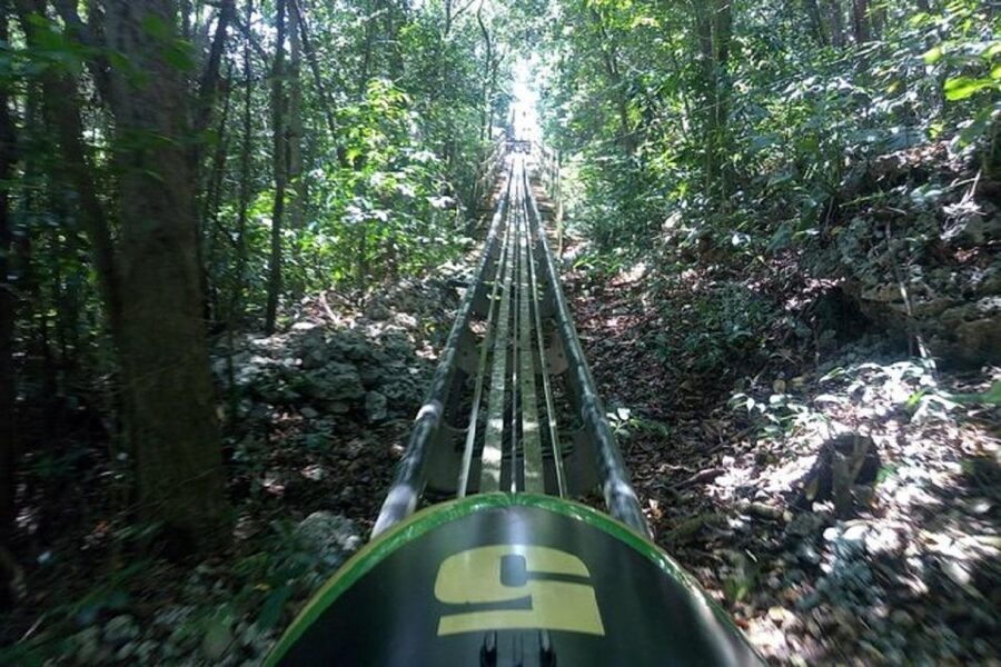 Rainforest Bobsled Mystic Mountain transportation - Price Value: What Makes This a Good Deal, and What Could Feel Pricey