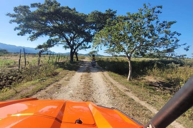 Rasta Safari Atv Experience and Rick's Cafe Private Tour - Blue Hole and Secret Falls: Cool Water Plus a Proper Walk
