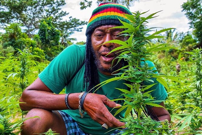 Rastafari Cultural ATV Community Experience from Montego Bay - Key things to know before you go