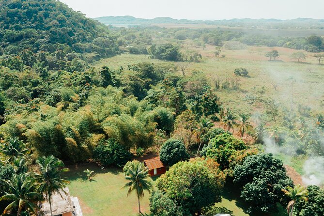 Rastafari Cultural ATV Community Experience from Montego Bay - Homemade lunch at the base station: what’s included and why it’s a good deal