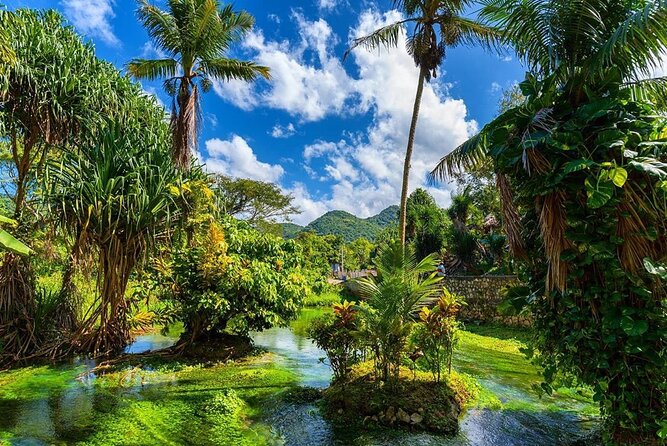 Rastafari Cultural ATV Community Experience from Montego Bay - Guides and hospitality: why names like Gilbert and Owen keep coming up