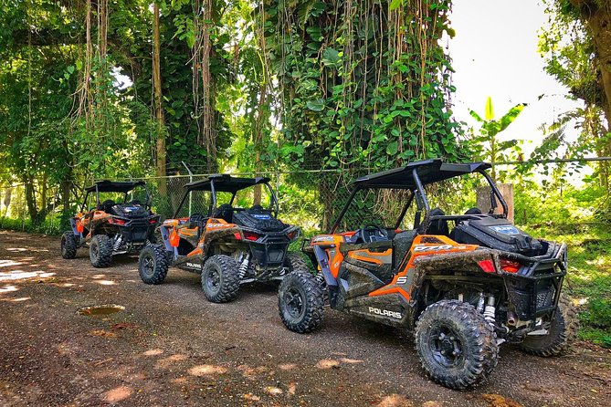 Rastafari Cultural ATV Community Experience from Montego Bay - Roaring River first stop: coffee roasting, juice, and a short culture walk