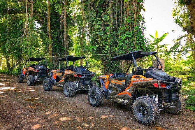 Rastafari Cultural ATV Community Experience from Negril - Key highlights you will feel right away