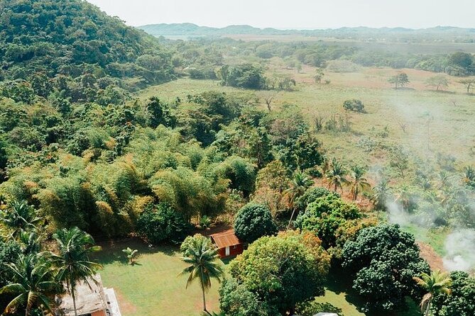 Rastafari Cultural ATV Community Experience from Negril - Timing from Negril hotels: the day is short, so plan your morning