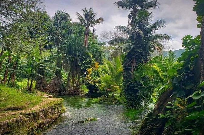Rastafari Cultural ATV Community Experience from Negril - Natural mineral pool swim: your built-in reset