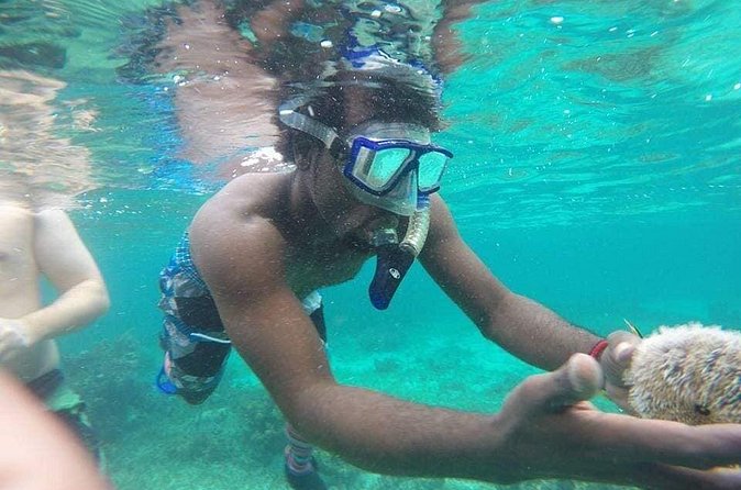 Rick's Cafe Sunset Cruise and Snorkelling - Who Should Book This, and Who Might Skip It
