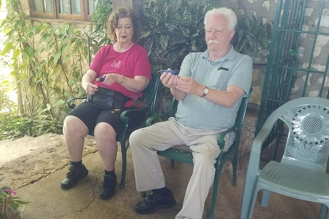 Rockland Bird Sanctuary Private Tour - Why Rockland Bird Sanctuary feels like a close-up nature show
