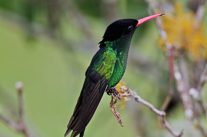 Rockland Bird Sanctuary Private Tour - Price and value: why $120 may feel fair or not