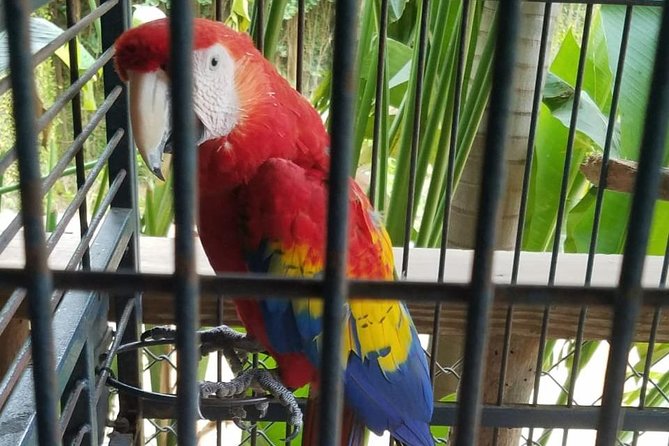 Rockland Bird Sanctuary Private Tour - Group discounts and private comfort: who this fits best
