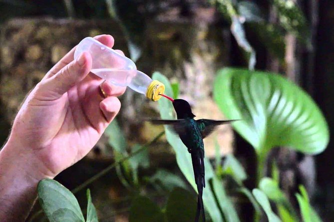 Rockland Bird Sanctuary Private Tour - A practical checklist so your day goes smoothly
