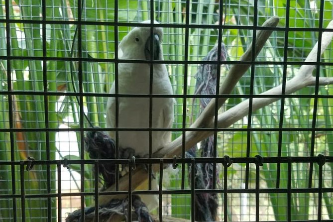 Rockland Bird Sanctuary Private Tour - When to go: weather matters more than you think