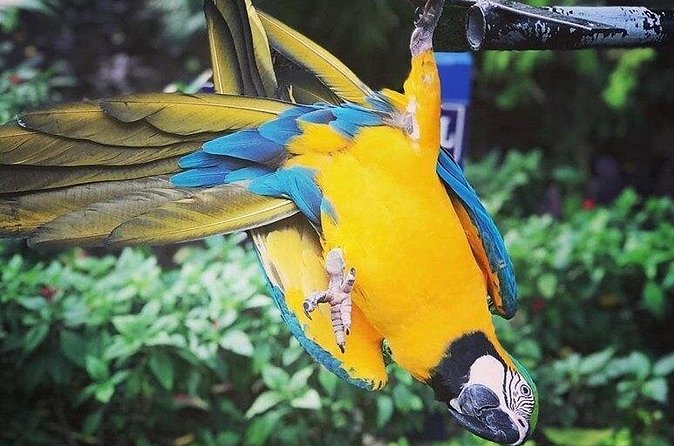 Rockland Bird Sanctuary Tour [Transportation] Hotel Pick-Up - The itinerary is simple, and that’s the point