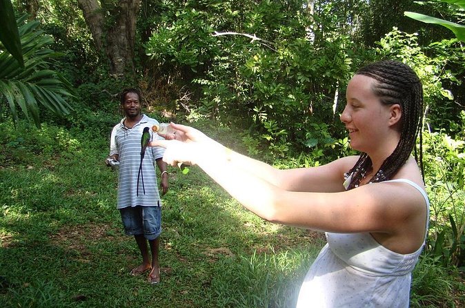 Rockland Bird Sanctuary Tour [Transportation] Hotel Pick-Up - What birds you might see, especially Caribbean species