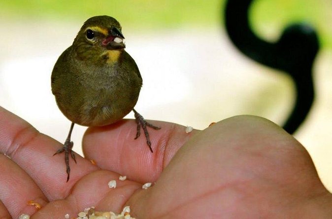Rockland Bird Sanctuary Tour [Transportation] Hotel Pick-Up - Timing: how to use your 1 to 3 hours well