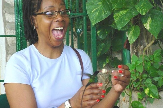 Rocklands Bird Sanctuary & City Highlights plus Shopping from Montego Bay - Key Highlights You Will Feel Immediately