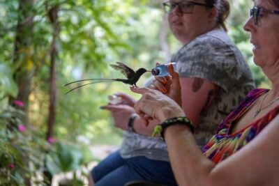 Rocklands Bird Sanctuary & City Highlights plus Shopping from Montego Bay