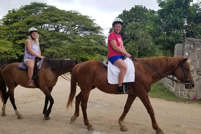 Sand n Saddle Horseback Ride & Swim Tour from Falmouth - Key things to know before you book