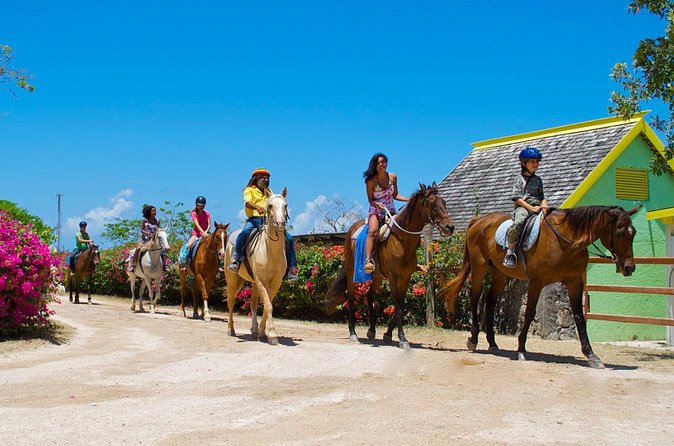 Sand n Saddle Horseback Ride & Swim Tour from Falmouth - The horses, safety vibe, and what to bring