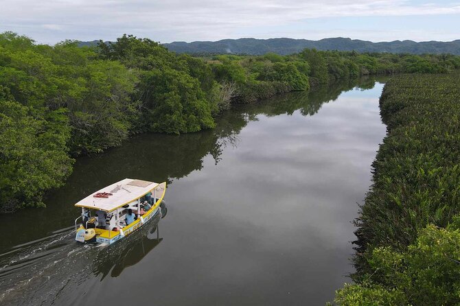 Scenic & Historical Nature Boat Safari Up the Negril River - Key highlights before you book