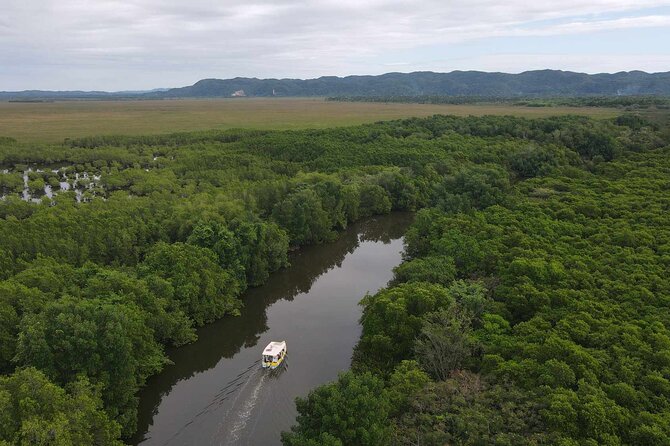 Scenic & Historical Nature Boat Safari Up the Negril River - Wildlife sightings: crocodiles, turtles, and manatees, with realistic expectations