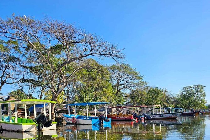 Scenic & Historical Nature Boat Safari Up the Negril River - The history piece: learning why the river matters to Negril