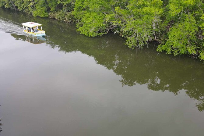 Scenic & Historical Nature Boat Safari Up the Negril River - Meet the crew: Captain Jace and the humor that makes the ride easier